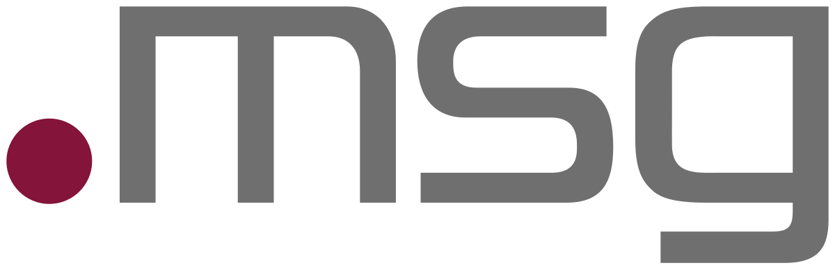 msg logo